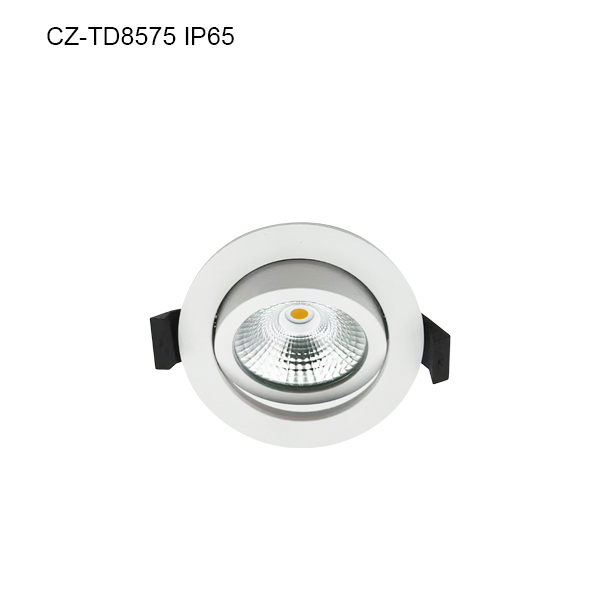 CZ-TD8575 IP65