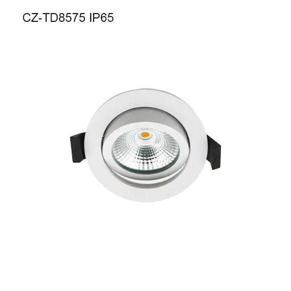 CZ-TD8575 IP65